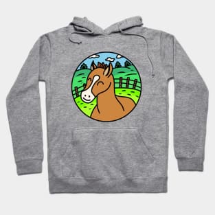 Cute cartoon horse Hoodie